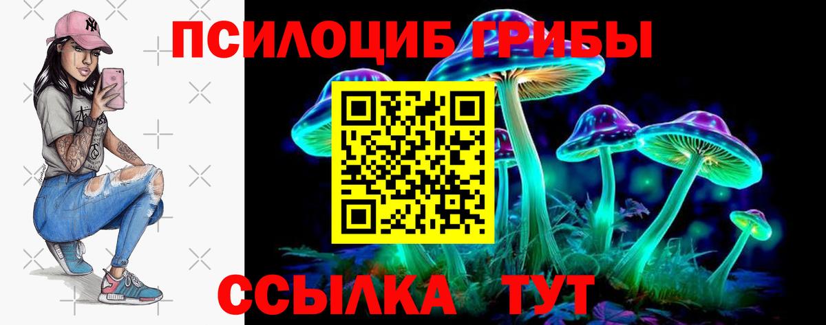 Галлюциногенные грибы прущие грибы Ипатово
